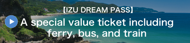 【IZU DREAM PASS】A special value ticket including ferry, bus, and train