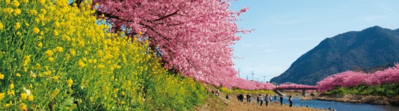【JR EAST PASS, JR EAST PASS and more】From Tokyo to Mt. Fuji & Izuwith a special value ticket