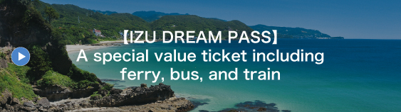 【IZU DREAM PASS】A special value ticket including ferry, bus, and train