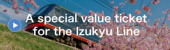 A special value ticket for the Izukyu Line