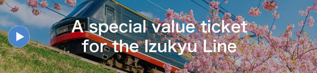 A special value ticket for the Izukyu Line