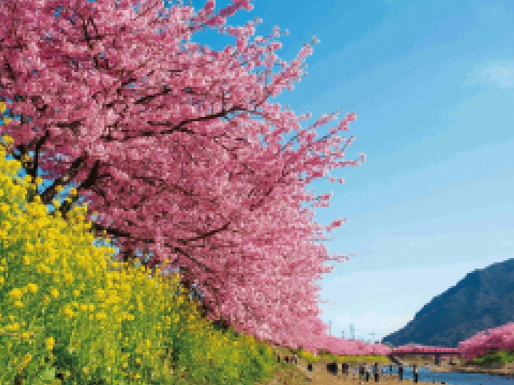 Kawazu