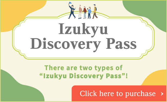 Izukyu Discovery Pass